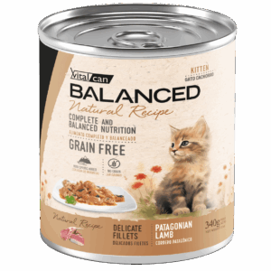 Balanced Natural Gato 340g