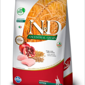 N&D Gatos Filhotes Castrados Ancestral Grain Pollo 1,5kg